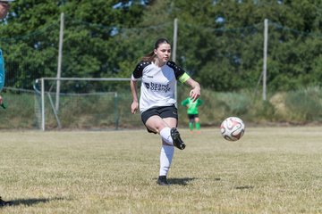 Bild 40 - wBJ TuRa Meldorf/Buesum - JFV Luebeck : Ergebnis: 1:0